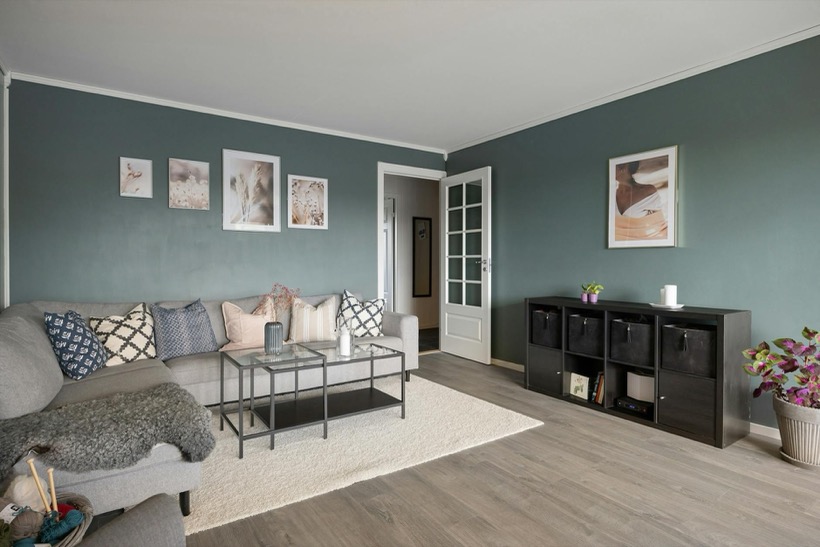 A freshly painted living room with a clean accent wall and crisp trim lines